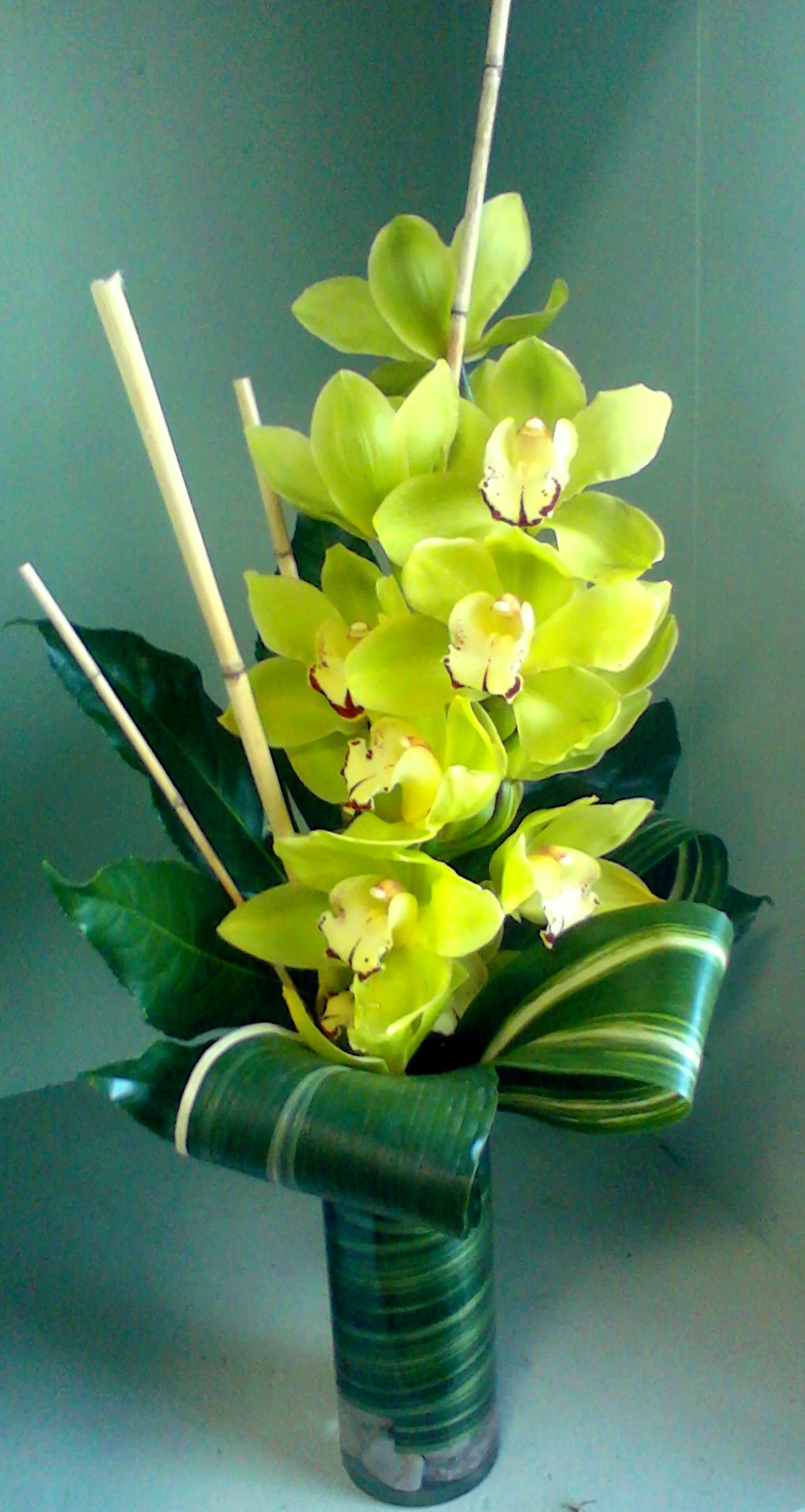 Exotic Cymbidium Orchid Arrangement Grande Flowers Exotic Cymbidium Orchid Arrangement Grande Flowers