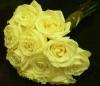 Dozen Ivory Rose Bouquet With Pearls