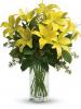 Teleflora's Lily Sunshine