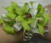 Green Orchid "Bubbles" Wrist Corsage