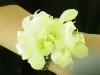 White Orchid "Bubbles" Wrist Corsage