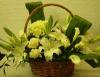 Grande Flowers' Supreme White Basket