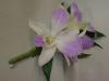 Dendrobium Orchid Boutonniere with Italian Ruskus