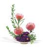 Pin Cushion Protea Bowl