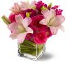 Teleflora's Posh Pinks