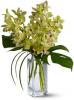 Teleflora's Orchid Elegance