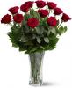 Grande Flowers' Premium Dozen Red Roses