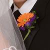 Orange Gerbera Boutonniere