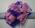 Lavender Snap Bracelet Wrist Corsage