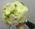 Grande Flowers' Snowy White Bouquet