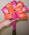 Bright, mixed color combos