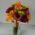 Fall Magic Hand Tied Bouquet