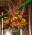Grande Flowers' Mixed Fall Altar Piece