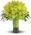 Green Glee Bouquet