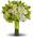 Luscious Love Bouquet