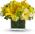 Oh Happy Day by Teleflora