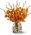 Orchid Embers