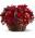 Red Delicious