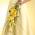 Calla Lily Cascade Bouquet