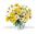 Dashing Daisies