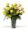 A Dozen Yellow Roses