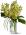 Teleflora's Orchid Elegance