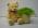 Grande Flowers' Neutral Baby Bear Plant