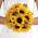 Sunflower Bouquet