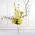 Yellow Willow Altar Arrangement