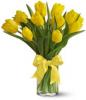 Teleflora's Sunny Yellow Tulips